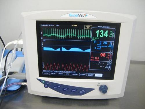 Surgery:  We have a surgery technician that monitors each surgery patient throughout the procedure, a state of the art digital monitor for blood oxygen content, breaths per minute and ECG and constant individual monitoring until the patient is awake.